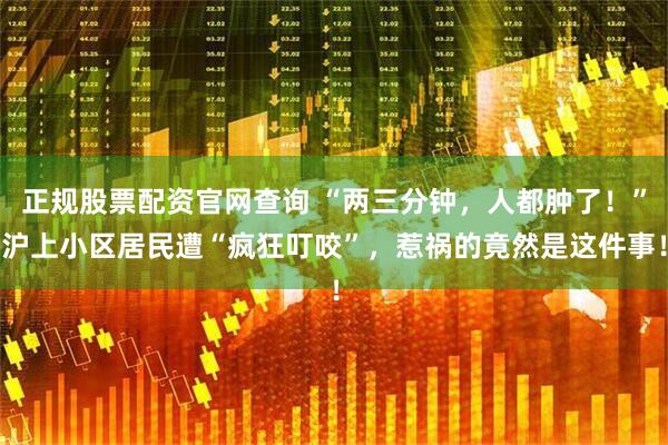 正规股票配资官网查询 “两三分钟，人都肿了！”沪上小区居民遭“疯狂叮咬”，惹祸的竟然是这件事！
