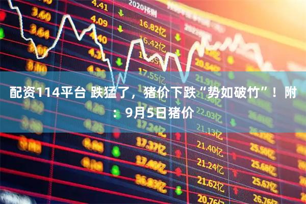 配资114平台 跌猛了，猪价下跌“势如破竹”！附：9月5日猪价