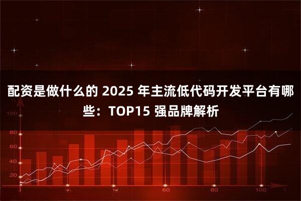 配资是做什么的 2025 年主流低代码开发平台有哪些：TOP15 强品牌解析
