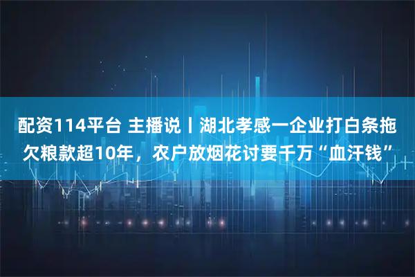 配资114平台 主播说丨湖北孝感一企业打白条拖欠粮款超10年，农户放烟花讨要千万“血汗钱”