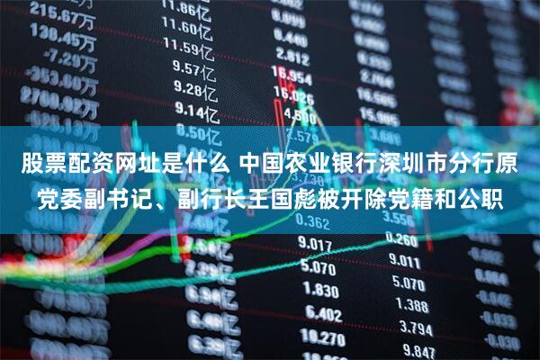 股票配资网址是什么 中国农业银行深圳市分行原党委副书记、副行长王国彪被开除党籍和公职