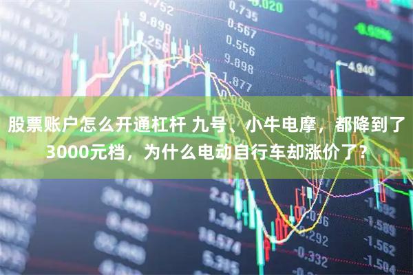 股票账户怎么开通杠杆 九号、小牛电摩，都降到了3000元档，为什么电动自行车却涨价了？
