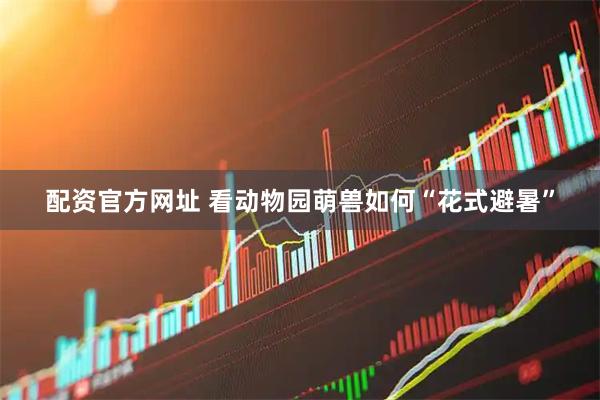 配资官方网址 看动物园萌兽如何“花式避暑”