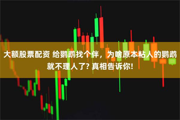 大额股票配资 给鹦鹉找个伴，为啥原本粘人的鹦鹉就不理人了? 真相告诉你!