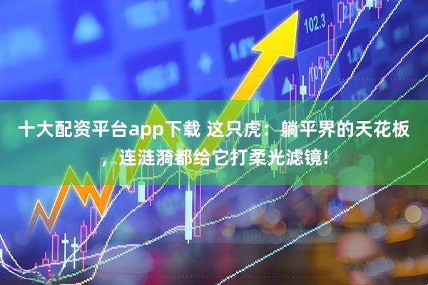 十大配资平台app下载 这只虎：躺平界的天花板，连涟漪都给它打柔光滤镜!